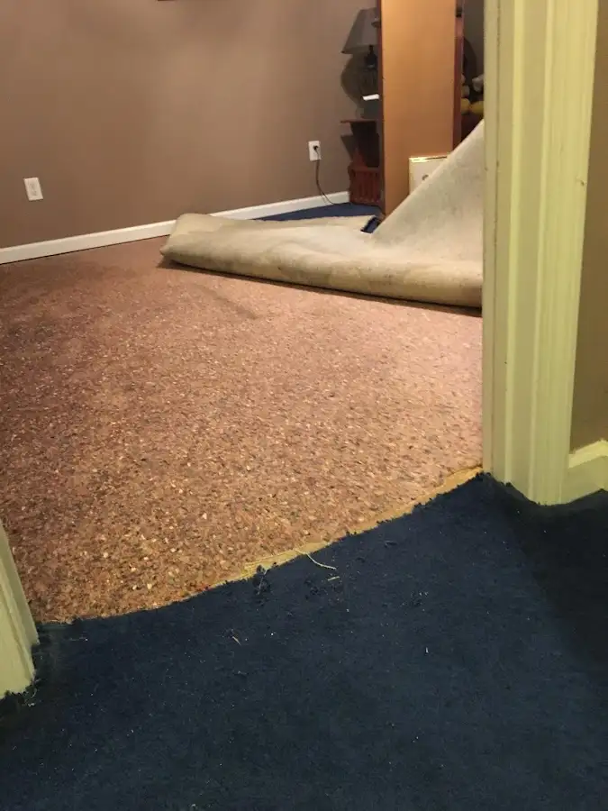 Carpet pad removal revealing water damage during Drying & Dehumidification in Foothill Farms