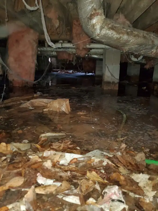 Crawl space flood assessment for Commercial Water Damage Restoration in Foothill Farms